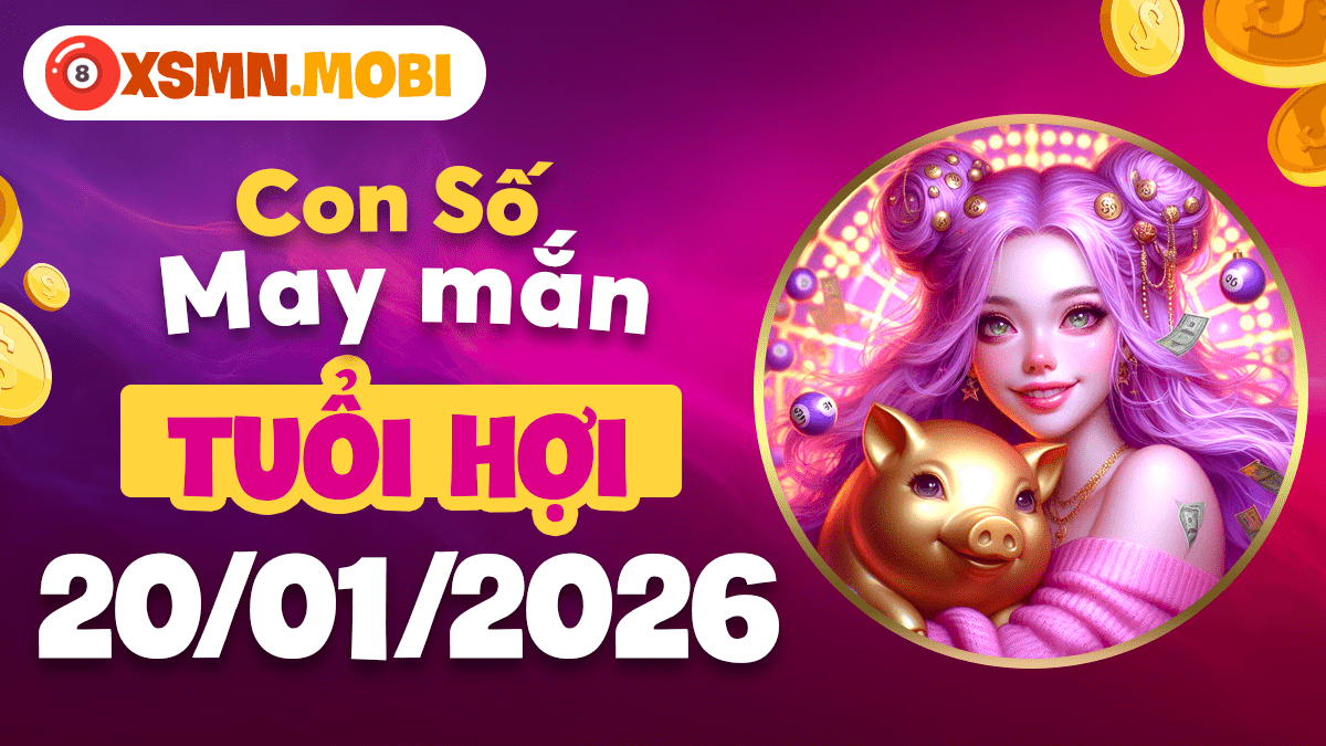 Tuổi Hợi mọi việc sẽ viên mãn nhờ con số phong thủy ngày 20/01